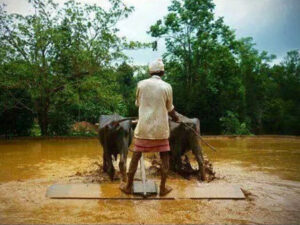 ಗೋರಿ…..!!”