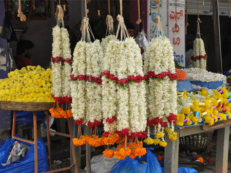 ಹೂವಿನ ಕನಸು ಕನಸಾಗಿಯೇ ಉಳಿಯಿತು